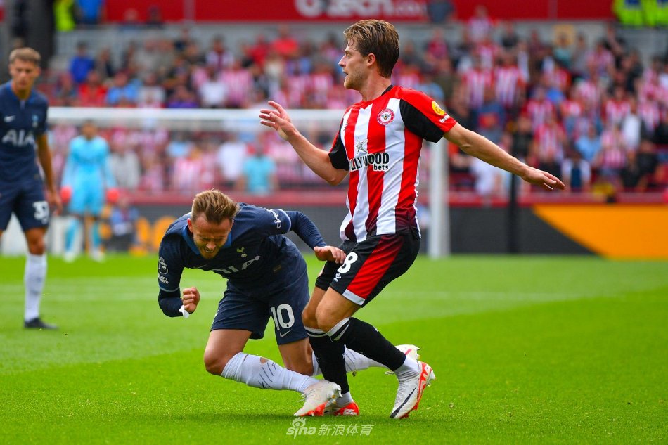 复研究的细 复研究的细